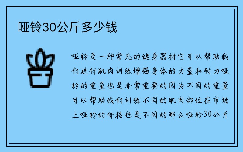 哑铃30公斤多少钱