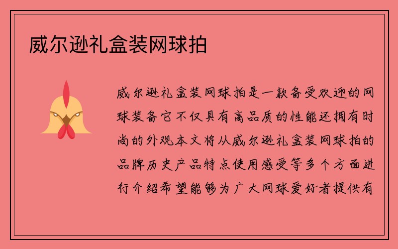 威尔逊礼盒装网球拍