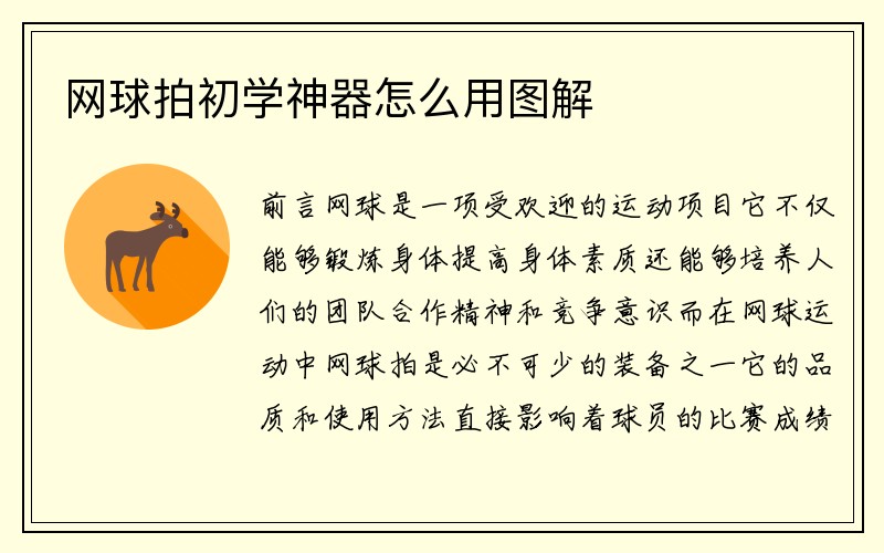 网球拍初学神器怎么用图解