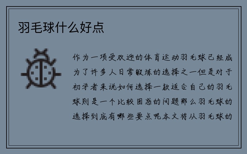 羽毛球什么好点