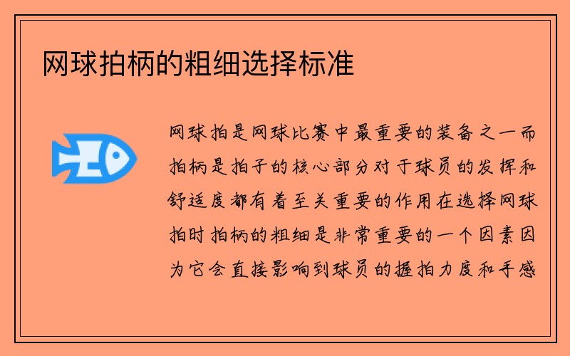 网球拍柄的粗细选择标准