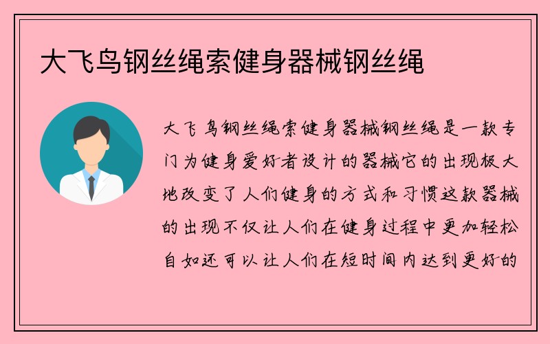 大飞鸟钢丝绳索健身器械钢丝绳