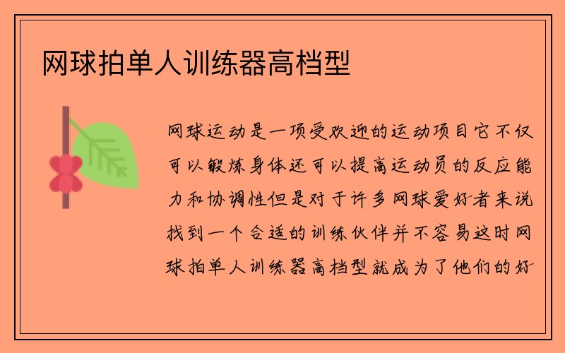 网球拍单人训练器高档型