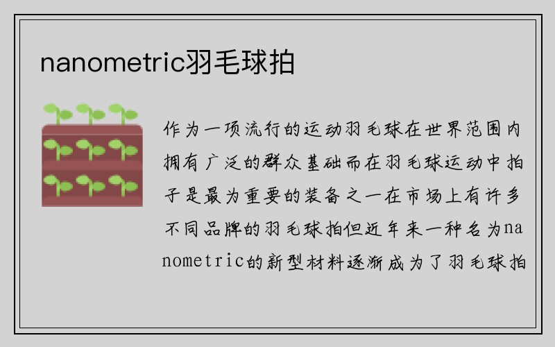 nanometric羽毛球拍