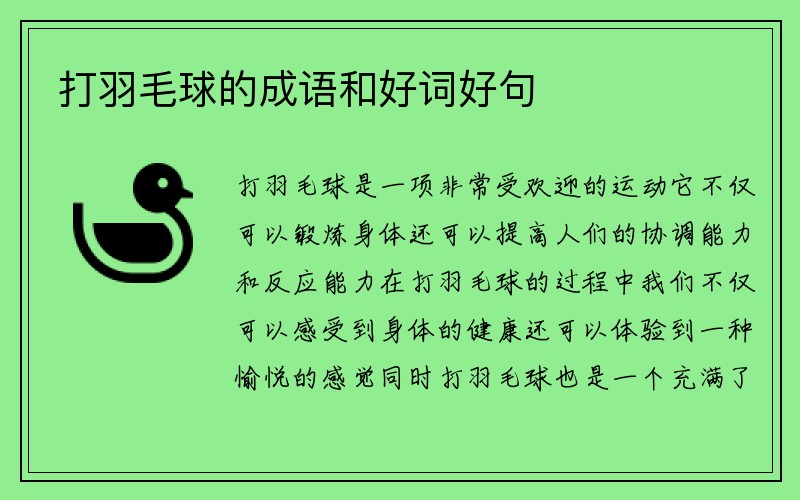 打羽毛球的成语和好词好句